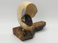 Nautilus Shell Speakers