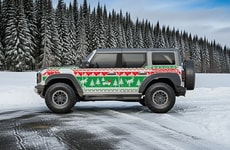 Seasonal Sweater Vehicle Protectors