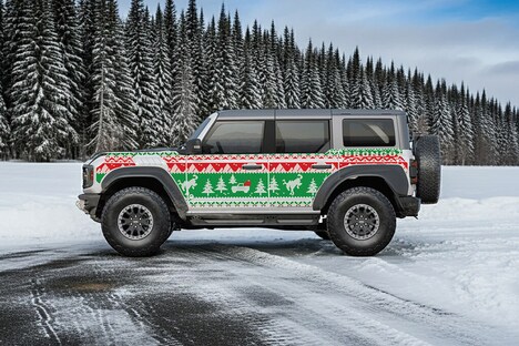 Seasonal Sweater Vehicle Protectors