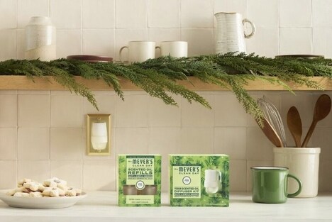 All-Natural Air Fresheners