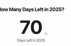 Real-Time Year Countdowns