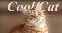 Quick Image Editors