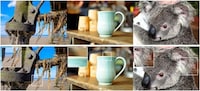 AI 3D Photo Generators