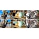 AI 3D Photo Generators Image 1