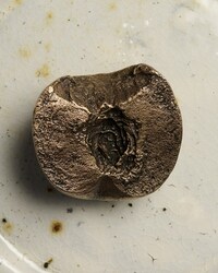 Film Collaborative Paperweights Image 2