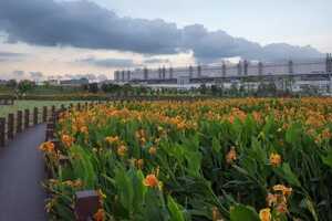 Corporate Low-Carbon Initiatives Article Thubnail