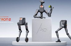Foundational Embodied Robots