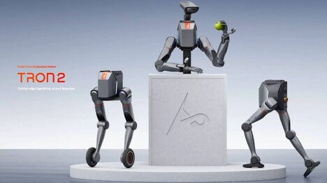 Foundational Embodied Robots