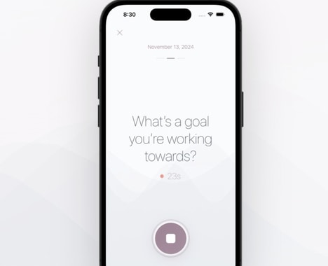 Voice Journaling Tools