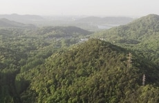 Art Museum Architecture