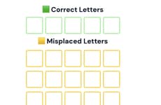 Word Puzzle Assistants