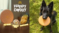Pet Toy QSR Meals