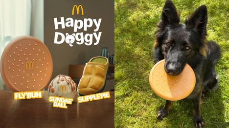 Pet Toy QSR Meals
