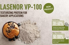 Pea Protein Egg Alternatives