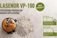 Pea Protein Egg Alternatives Image 1