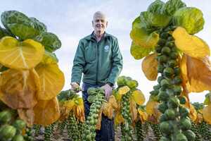 Biodiversity Retailer Initiatives Article Thubnail