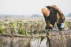 Sustainability-Driven Farm Certifications Article Thubnail