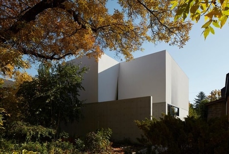 Courtyard Infill Homes