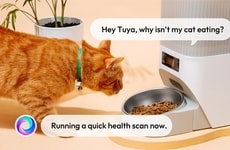 Multi-Device AI Assistants