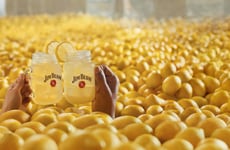 Refreshing Spirits Campaigns