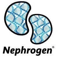 AI Kidney Therapies