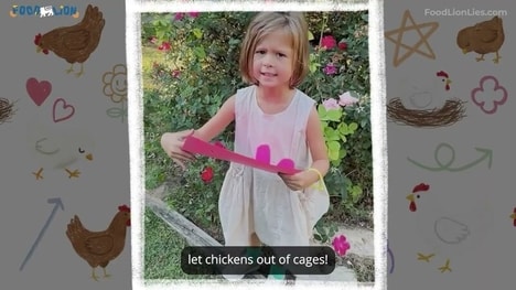 Animal Welfare Campaigns