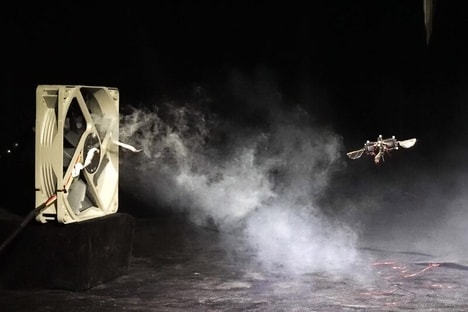 Miniature Flying Robots