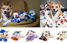 Lamb-Inspired Dog-Centric Plush Toys