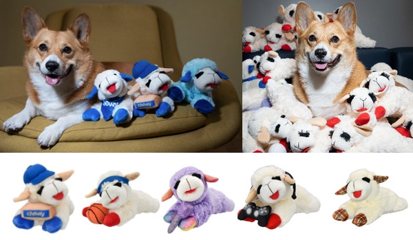 Lamb-Inspired Dog-Centric Plush Toys