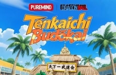 Anime-Inspired Wooden Collectibles