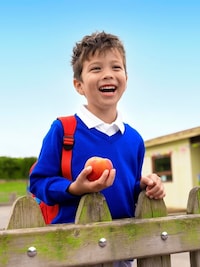 Complimentary Fruit Grocer Campaigns Image 1