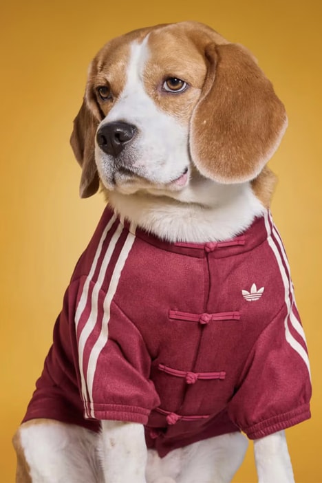 New Year Pet Apparel