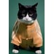 New Year Pet Apparel Image 3