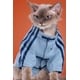 New Year Pet Apparel Image 5