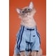 New Year Pet Apparel Image 7