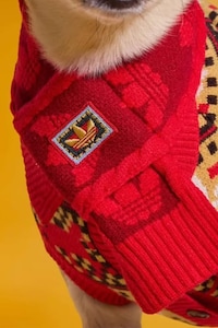 New Year Pet Apparel Image 8