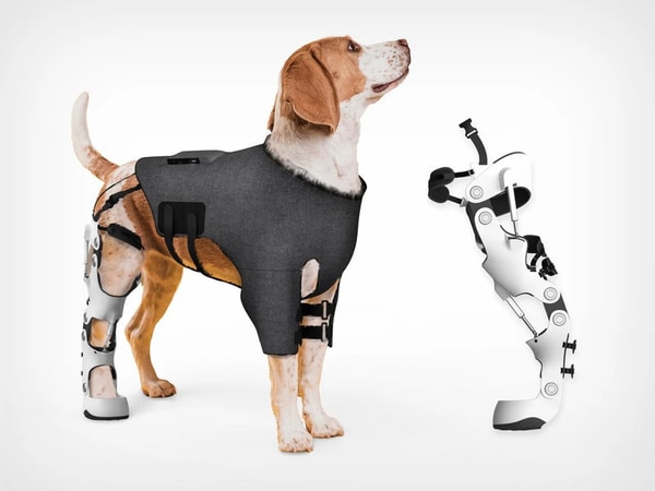Intelligent Canine Exoskeletons