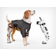 Intelligent Canine Exoskeletons Image 1