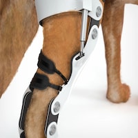 Intelligent Canine Exoskeletons Image 5