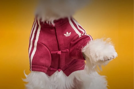 Pet Lunar Apparel