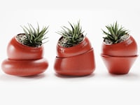 Self-Watering Desk Planters