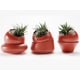 Self-Watering Desk Planters Image 1