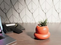 Self-Watering Desk Planters Image 2