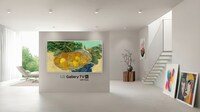 Art-Inspired Gallery TVs