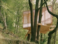 Treehouse Writing Studios