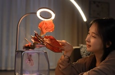 Aeroponic Desktop Planters