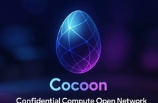 Decentralized Confidential Computing Networks