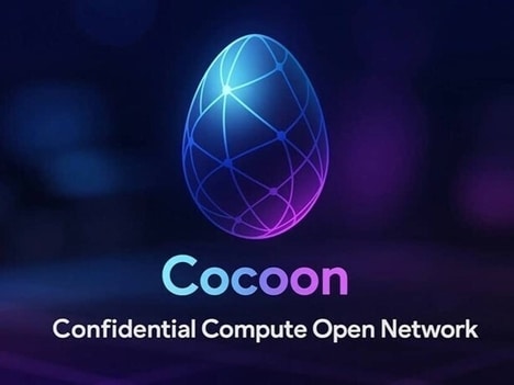Decentralized Confidential Computing Networks