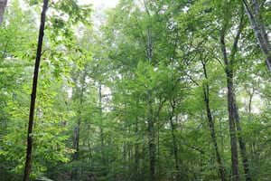 Co-Op-Supported Renewable Energy Projects Article Thubnail