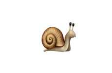 Motivational Postcard Services